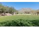 Large manicured backyard with lush green grass and picturesque mountain views offers space and privacy at 9858 E South Bend Dr, Scottsdale, AZ 85255