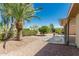 An inviting backyard with covered patio, desert landscaping, and mature trees creating a private outdoor oasis at 15136 W Cactus Ridge Way, Surprise, AZ 85374