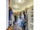 Spacious walk-in closet with shelving and clothing racks for optimal organization and storage space at 1893 W Canary Way, Chandler, AZ 85286