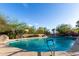 Sparkling community pool with clear blue water and lush desert landscaping at 21 W Beryl Ave, Phoenix, AZ 85021