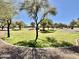 Lush community park with trees, expansive lawns, and walking paths, great for relaxation and outdoor activities at 2461 E Binner Dr, Chandler, AZ 85225