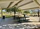 Picnic tables under a metal awning near a playground, ready for community gatherings and outdoor fun at 2461 E Binner Dr, Chandler, AZ 85225