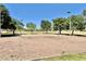 Well-maintained sand volleyball court surrounded by green grass and mature trees in the community park at 2461 E Binner Dr, Chandler, AZ 85225
