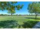 Expansive green space with lush lawn, mature trees, walking path and sprinkler system at 3859 E Appaloosa Rd, Gilbert, AZ 85296
