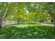 Scenic street view lined with lush trees, offering a peaceful and inviting neighborhood atmosphere at 3859 E Appaloosa Rd, Gilbert, AZ 85296