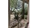 Backyard showing beautiful desert landscaping with cacti, mature trees, and rock features at 5601 E Monte Cristo Ave, Scottsdale, AZ 85254