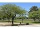 Community park featuring a grassy area, trees, and playground equipment on a sunny day at 5601 E Monte Cristo Ave, Scottsdale, AZ 85254