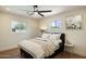 Bright bedroom features wood floors, a ceiling fan, and natural light at 10620 N 84Th St, Scottsdale, AZ 85260