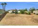 Wide shot of fenced backyard with mature trees at 10245 N 15Th Dr, Phoenix, AZ 85021