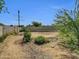 Fenced backyard featuring mature trees and shrubbery at 10245 N 15Th Dr, Phoenix, AZ 85021