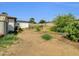 Backyard with mature trees and potential for landscaping at 10245 N 15Th Dr, Phoenix, AZ 85021