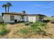 Spacious backyard with garden beds, potential for outdoor living, and palm trees for shade at 10245 N 15Th Dr, Phoenix, AZ 85021