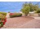Backyard featuring desert landscaping, mature tree, a shed, and a privacy wall at 20449 N 105Th Ave, Peoria, AZ 85382