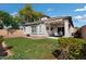 Expansive backyard with a covered patio, lush lawn, and stylish string lights, perfect for outdoor enjoyment at 4606 S Marron --, Mesa, AZ 85212