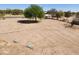 Large lot with desert landscaping and mature trees at 51089 W Julie Ln, Maricopa, AZ 85139