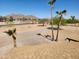Expansive desert landscape, palm trees and mountain views at 51089 W Julie Ln, Maricopa, AZ 85139