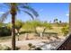 Backyard featuring desert landscaping and a view of the golf course at 7275 N Scottsdale Rd # 1001, Paradise Valley, AZ 85253