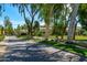 A view of the street, lined with mature trees and lush landscaping in a beautiful neighborhood at 11977 N 81St St, Scottsdale, AZ 85260