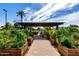 Community garden featuring raised beds and a shaded pergola area at 1633 E Lakeside Dr # 25, Gilbert, AZ 85234