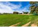 Expansive green space with baseball diamond and mature trees at 1633 E Lakeside Dr # 25, Gilbert, AZ 85234