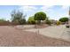Beautifully landscaped backyard with lush desert vegetation, gravel, and a concrete patio at 20017 N Cielo Ct, Surprise, AZ 85374