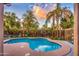 Inviting backyard pool featuring tropical landscaping, charming fence decor, and a refreshing escape from the Arizona heat at 3270 W White Canyon Rd, San Tan Valley, AZ 85144