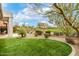 Lush backyard with green lawn and desert landscaping, featuring a scenic golf course view at 32771 N 70Th St, Scottsdale, AZ 85266