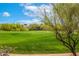 Picturesque view of the golf course framed by a tree with lush green fairway at 32771 N 70Th St, Scottsdale, AZ 85266