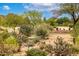 Scenic desert landscape with cacti, native plants, and natural terrain at 32771 N 70Th St, Scottsdale, AZ 85266
