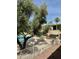 Community pool area with mature trees and comfortable lounging spaces at 3737 E Turney Ave # 223, Phoenix, AZ 85018