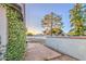 Backyard area featuring lush, mature trees, block walls, and ample space for outdoor activities at 3906 W Aire Libre Ave, Phoenix, AZ 85053