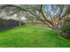 Spacious backyard with lush green lawn and mature trees, perfect for outdoor activities at 4035 E Mcdonald Dr, Phoenix, AZ 85018