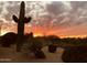 Beautiful yard with lush desert landscaping and a fiery red sunset at 9726 E Hidden Green Dr, Scottsdale, AZ 85262