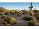 Lush desert landscaping in the front yard enhances this property's curb appeal at 9726 E Hidden Green Dr, Scottsdale, AZ 85262