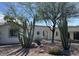 Charming single-story home with desert landscaping featuring cacti, trees, and gravel, enhancing curb appeal at 3907 E Marilyn Rd, Phoenix, AZ 85032