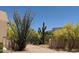 Desert landscape featuring native plants, cacti, yellow flowering trees, and blue sky at 8625 E Camino Vivaz --, Scottsdale, AZ 85255