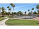 Community basketball court surrounded by mature palm trees and lush landscaping at 1313 W Glenmere Dr, Chandler, AZ 85224