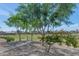 Community park with walking path and green space, perfect for enjoying the outdoors at 1313 W Glenmere Dr, Chandler, AZ 85224