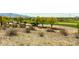 Picturesque view of the golf course surrounded by desert vegetation at 18368 W Long Lake Rd, Goodyear, AZ 85338