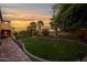 Backyard view featuring green grass, various plants, and palm trees at sunset at 21525 E Camacho Rd, Queen Creek, AZ 85142