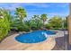 Beautiful backyard with a sparkling pool, mature landscaping, and a tranquil waterfall feature at 21525 E Camacho Rd, Queen Creek, AZ 85142