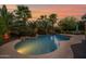 Backyard pool with lush landscaping, rock features, and a serene waterfall at 21525 E Camacho Rd, Queen Creek, AZ 85142