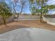 Spacious backyard with patio and block wall fencing and mature trees at 217 E Gwen St, Phoenix, AZ 85042