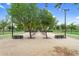 Picturesque bocce ball court framed by mature trees, offering benches and lighting for community enjoyment at 22884 E Via De Olivos --, Queen Creek, AZ 85142