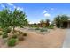 Lovely community garden with garden beds and a pergola, perfect for outdoor relaxation at 22884 E Via De Olivos --, Queen Creek, AZ 85142