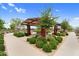 Community park featuring a covered gazebo, picnic tables, lush landscaping, and walking paths at 22884 E Via De Olivos --, Queen Creek, AZ 85142