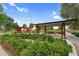 Scenic park space showcasing pergolas, and lush landscaping for relaxation and enjoyment at 22884 E Via De Olivos --, Queen Creek, AZ 85142