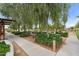 Community park showcasing tables, greenery and walking path for outdoor recreation at 22884 E Via De Olivos --, Queen Creek, AZ 85142