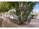 Charming exterior featuring a stone pathway and lush trees at 2896 E Maplewood St, Gilbert, AZ 85297