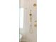 Close-up of a shower showcasing modern gold fixtures, creating a spa-like retreat at 2896 E Maplewood St, Gilbert, AZ 85297